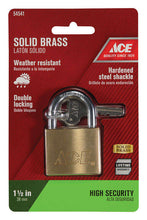 Load image into Gallery viewer, Ace 1-5/16 in. H X 1-1/2 in. W X 17/32 in. L Brass Double Locking Padlock