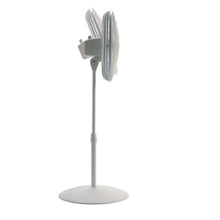 Load image into Gallery viewer, Lasko 47 in. H X 16 in. D 3 speed Oscillating Pedestal Fan