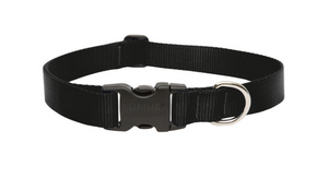 DOG COLLAR 12-20"ADJ BLK