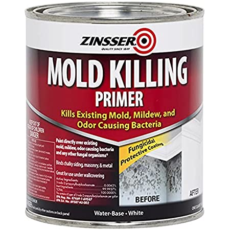 Zinsser Mold Killing Primer 1Gallon