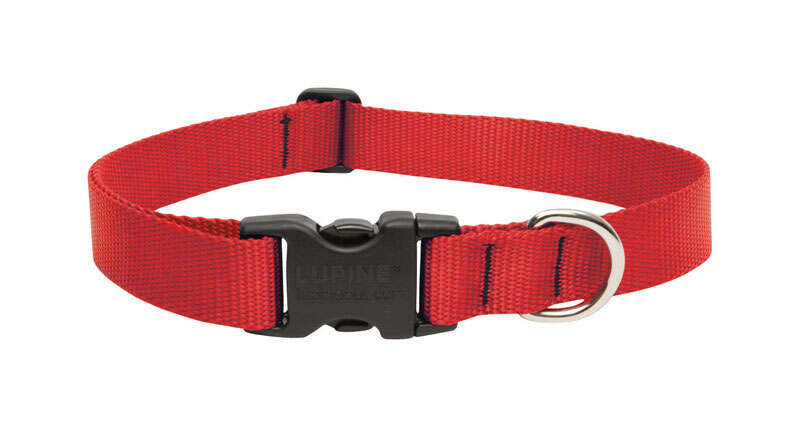 Lupine Pet Basic Red Red Nylon Dog Adjustable Collar