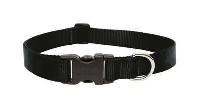 DOG COLLAR 16-28