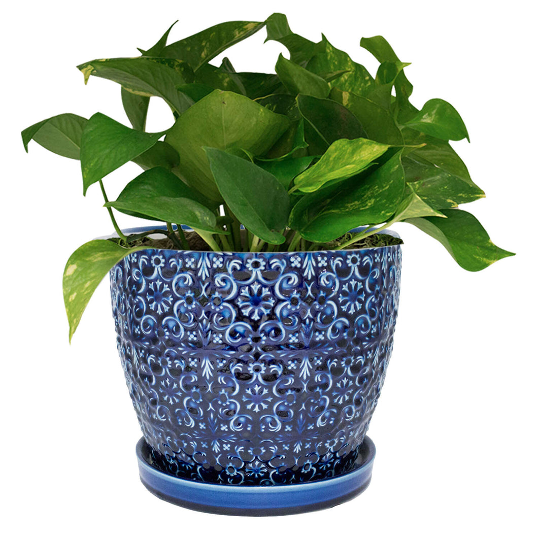 Trendspot Mediterranean 10 in. D Ceramic Planter Blue