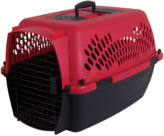 Pet taxi crate best sale