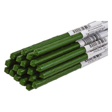 Load image into Gallery viewer, Gardener's Blue Ribbon Green Steel Plant Stake