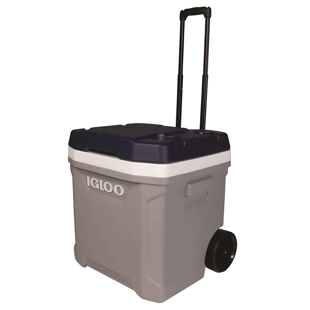 Igloo maxcold cooler 62 clearance qt