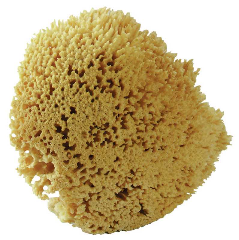 Acme The Natural Delicate, Light Duty Sponge For All Purpose 7 in. L 1 pk