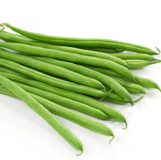 Pandia String Bean Verde Imperial 1 lb