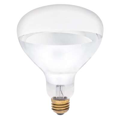 Westinghouse 250 W R40 Reflector Incandescent Bulb E26 (Medium) White 1 pk