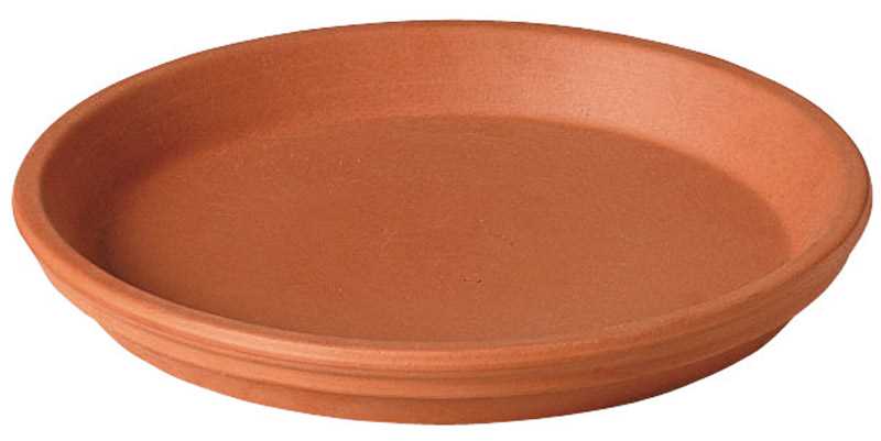 Deroma 0.6 in. H x 4 in. Dia. Clay Traditional Plant Saucer Terracotta