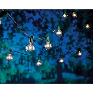 Living Accents Incandescent G40 String Lights Clear 15.83 ft. 20 lights