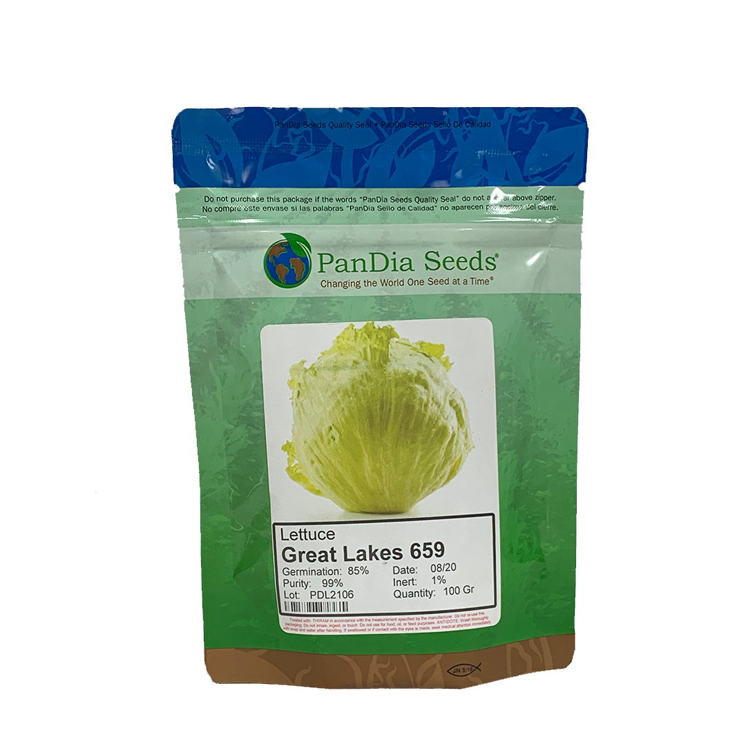 Pandia Great Lakes Lettuce Seeds 100gr HiPro Ace Supercentre