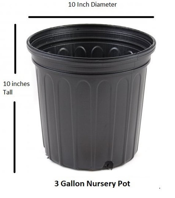 GARDEN. FLOWER POT 10